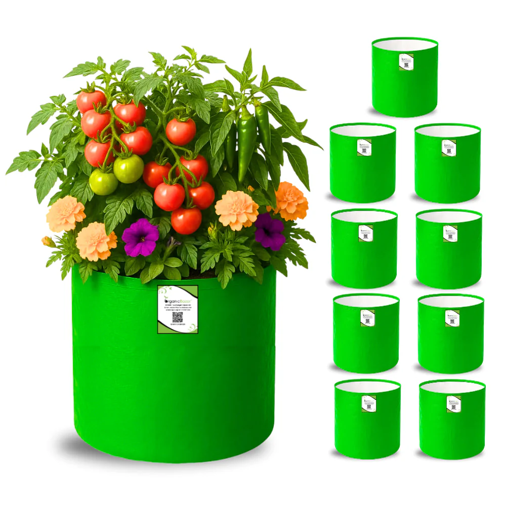 Cultivate Your Dream Home Garden